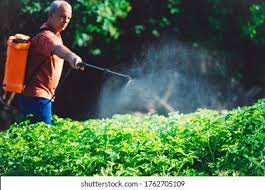 HERBICIDE