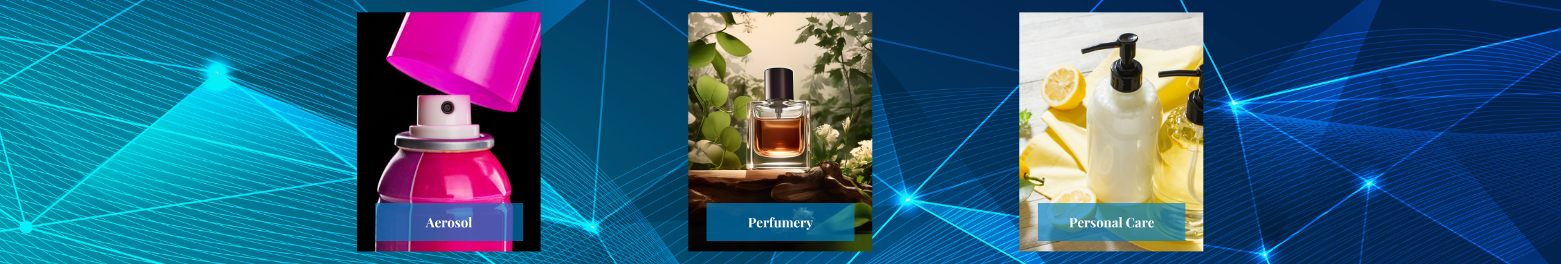 Shop Banner