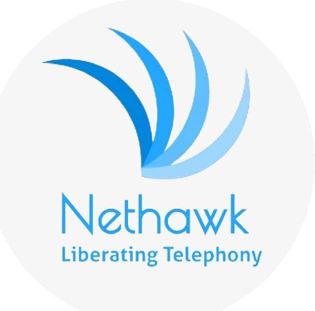 Nethawk Pvt Ltd