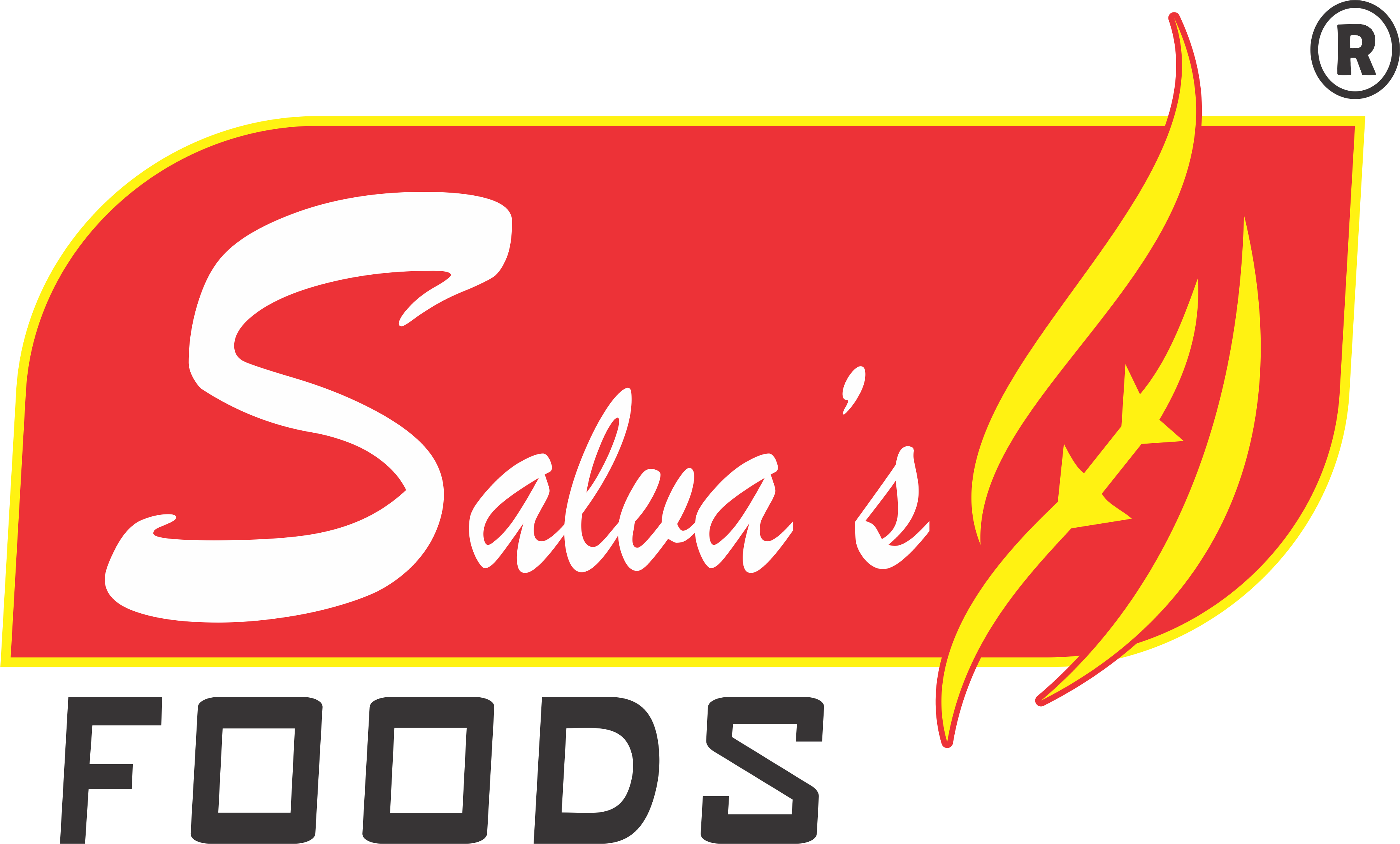 Salva's Food Product