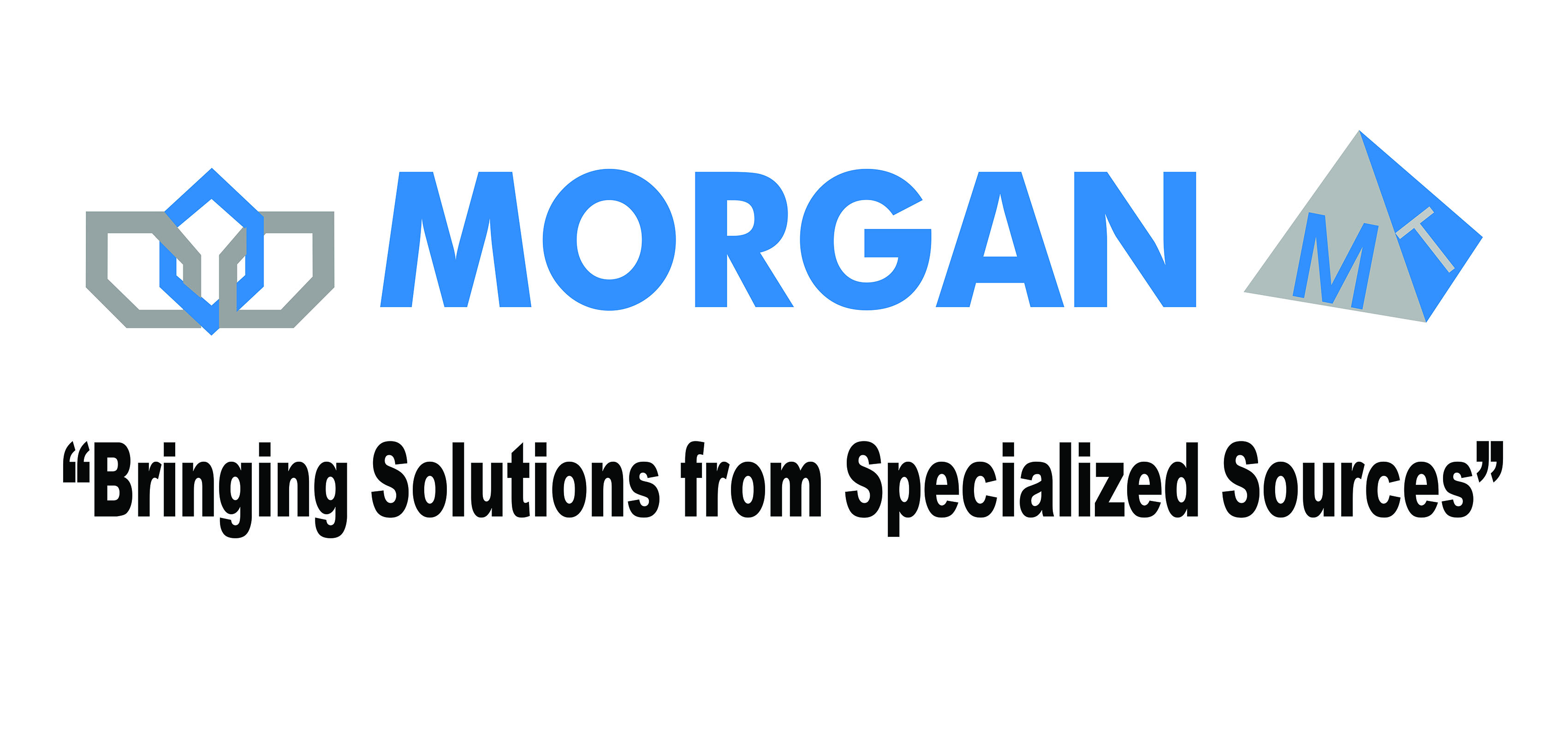 MORGAN CHEMICALS