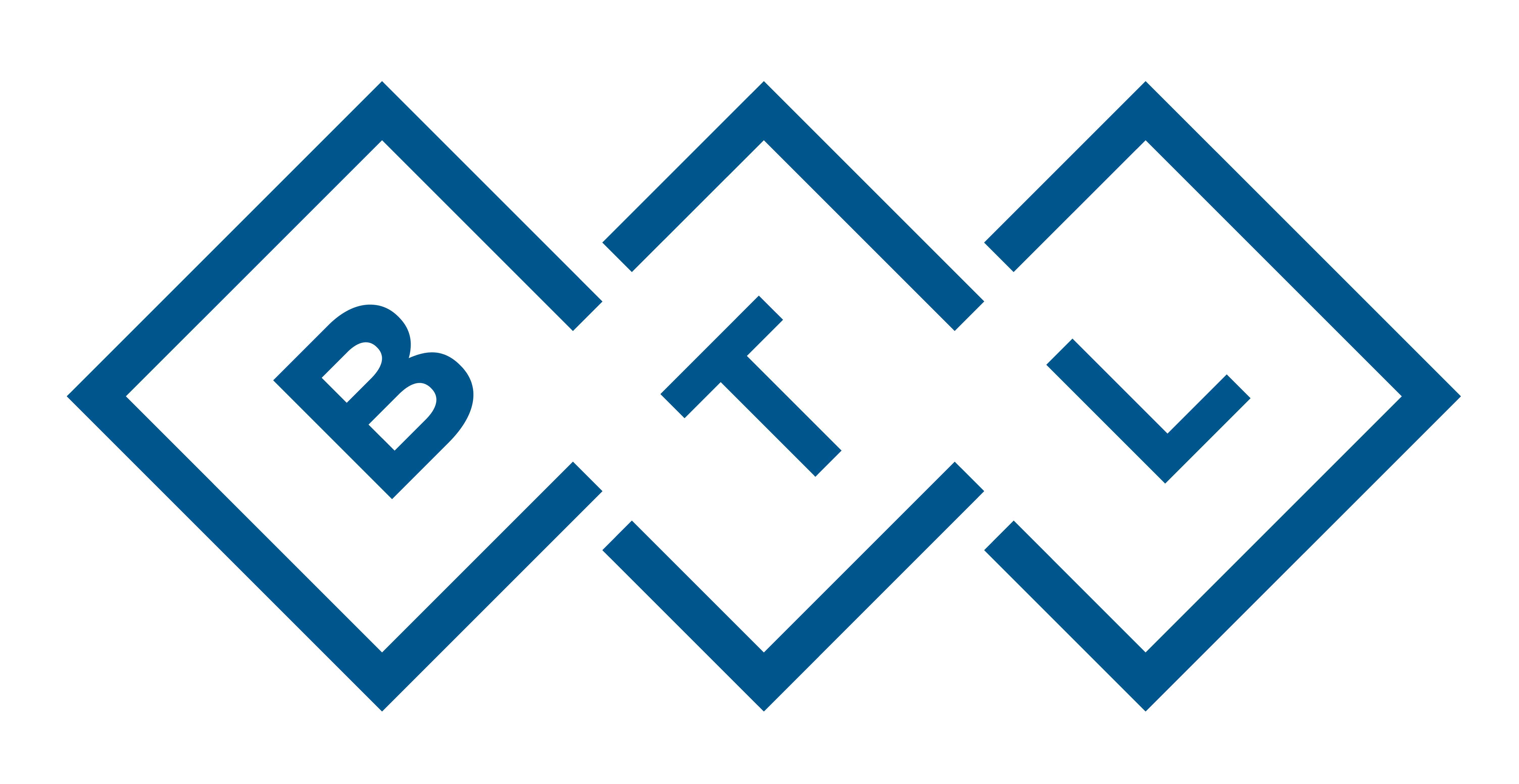 BTL Healthcare Supplies (SMC) Pvt Ltd