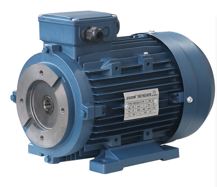 HYDRAULIC MOTOR