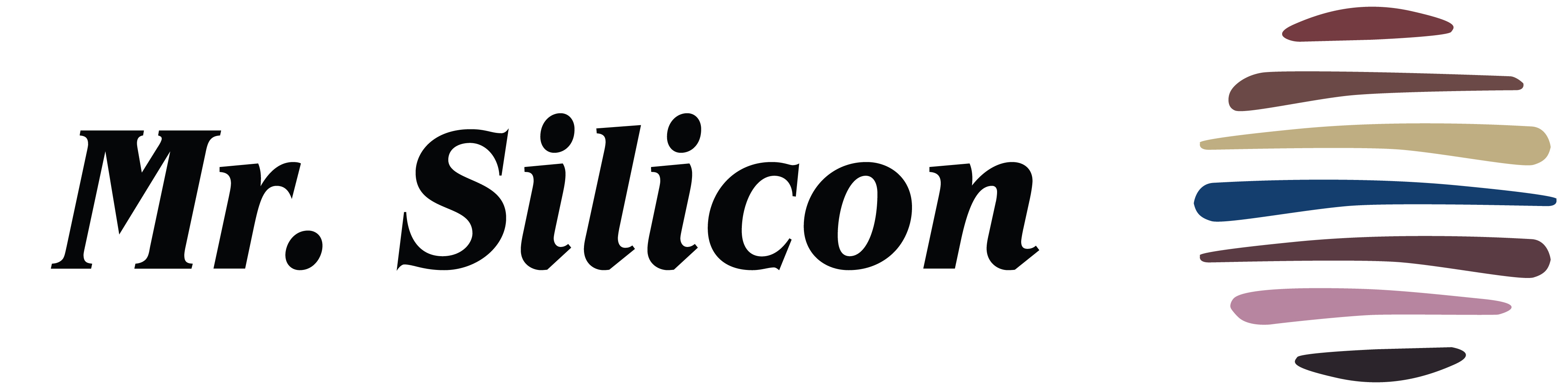 MR.SILICON