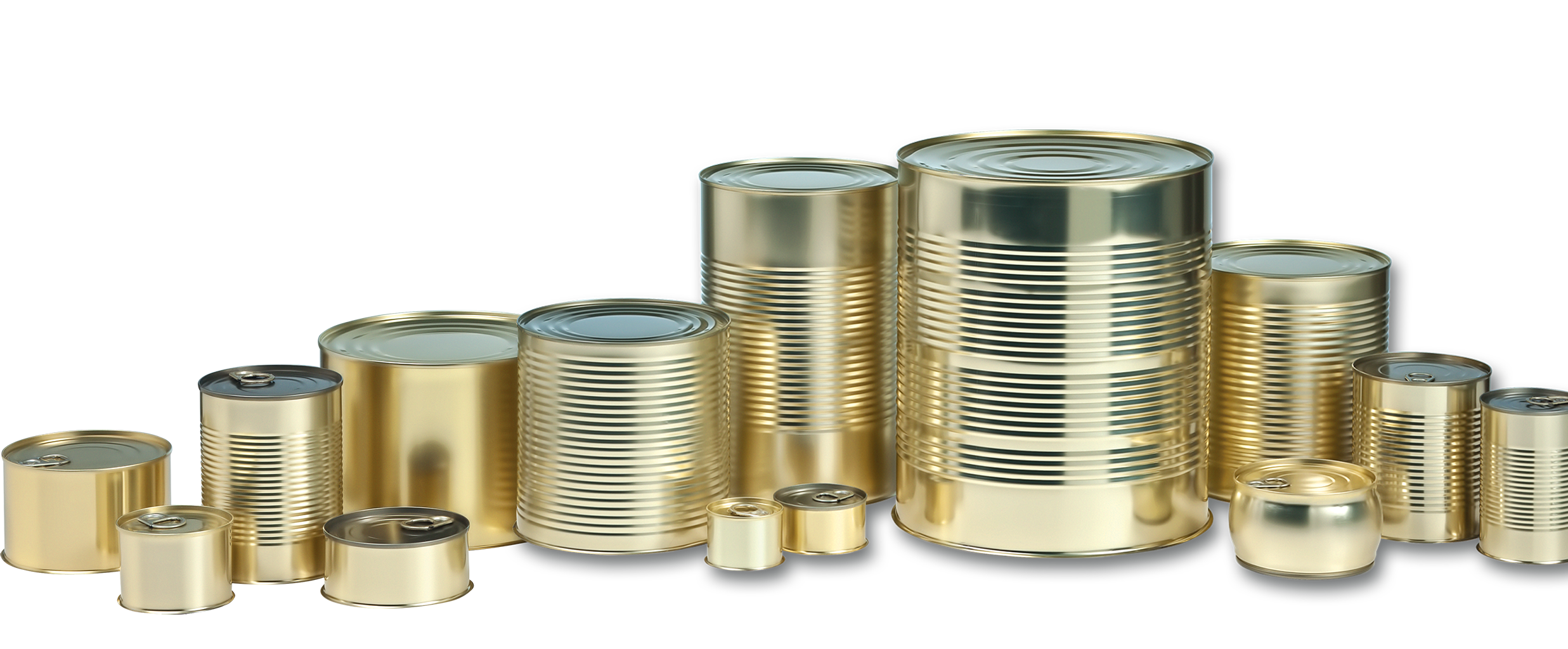 CANNED FOOD GROUP