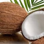 Coconut