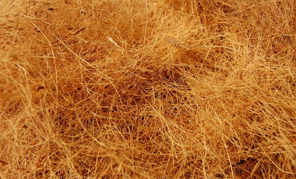 coconut-fiber-109769