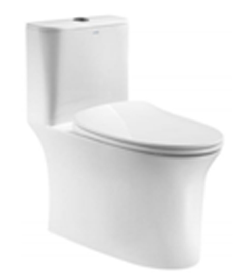 toilet-110391