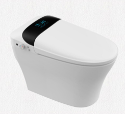 smart-toilet-110910